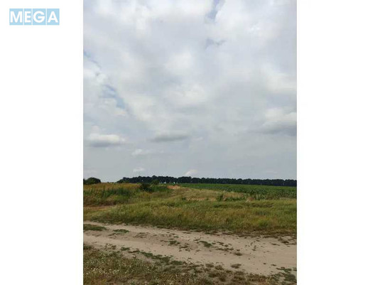 Продажа участка, 1&nbsp;519,95&nbsp;соток, земля сельскохозяйственного назначения, <a class="location-link" href="/lubyanka-selo-kv/" title="Недвижимость Луб'янка">Луб`янка</a>, Нова (изображение 17)