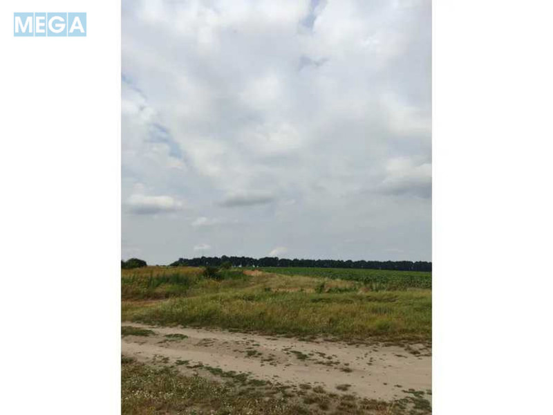 Продажа участка, 1&nbsp;519,95&nbsp;соток, земля сельскохозяйственного назначения, <a class="location-link" href="/lubyanka-selo-kv/" title="Недвижимость Луб'янка">Луб`янка</a>, Нова (изображение 17)