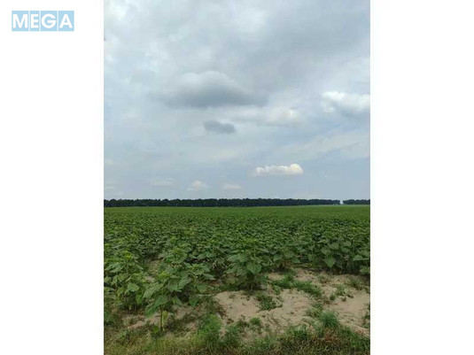 Продажа участка, 1&nbsp;519,95&nbsp;соток, земля сельскохозяйственного назначения, <a class="location-link" href="/lubyanka-selo-kv/" title="Недвижимость Луб'янка">Луб`янка</a>, Нова (изображение 20)