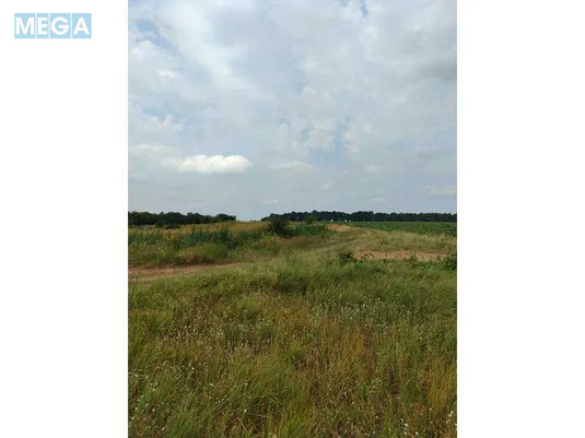 Продажа участка, 1&nbsp;519,95&nbsp;соток, земля сельскохозяйственного назначения, <a class="location-link" href="/lubyanka-selo-kv/" title="Недвижимость Луб'янка">Луб`янка</a>, Нова (изображение 21)