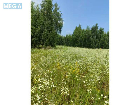 Продажа участка, 1&nbsp;689,42&nbsp;соток, земля сельскохозяйственного назначения, <a class="location-link" href="/ozera-selo-kv/" title="Недвижимость Озера">Озера</a>, Нова (изображение 3)