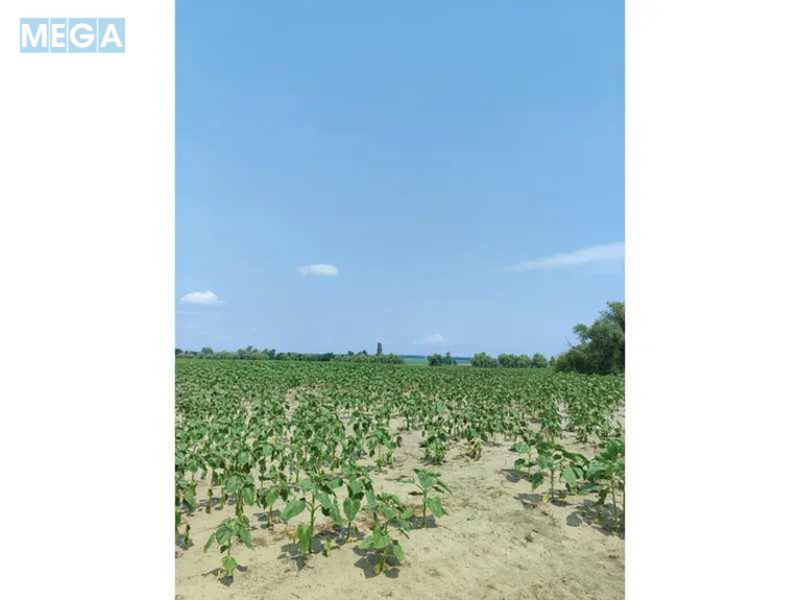 Продажа участка, 1&nbsp;689,42&nbsp;соток, земля сельскохозяйственного назначения, <a class="location-link" href="/ozera-selo-kv/" title="Недвижимость Озера">Озера</a>, Нова (изображение 4)