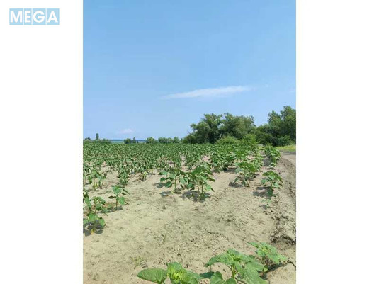 Продажа участка, 1&nbsp;689,42&nbsp;соток, земля сельскохозяйственного назначения, <a class="location-link" href="/ozera-selo-kv/" title="Недвижимость Озера">Озера</a>, Нова (изображение 6)