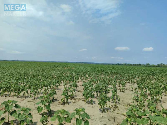 Продажа участка, 1&nbsp;689,42&nbsp;соток, земля сельскохозяйственного назначения, <a class="location-link" href="/ozera-selo-kv/" title="Недвижимость Озера">Озера</a>, Нова (изображение 7)