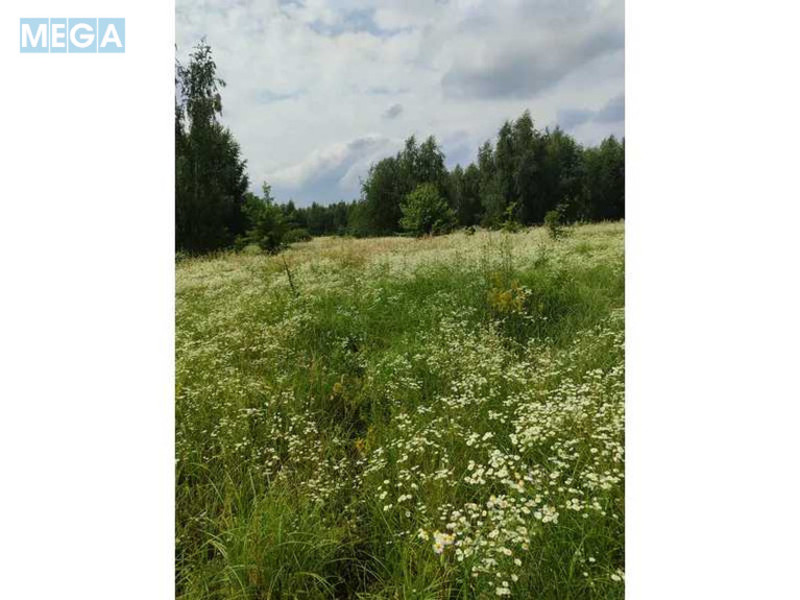 Продажа участка, 1&nbsp;689,42&nbsp;соток, земля сельскохозяйственного назначения, <a class="location-link" href="/ozera-selo-kv/" title="Недвижимость Озера">Озера</a>, Нова (изображение 12)