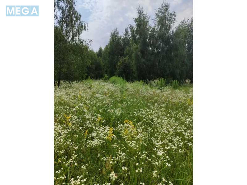 Продажа участка, 1&nbsp;689,42&nbsp;соток, земля сельскохозяйственного назначения, <a class="location-link" href="/ozera-selo-kv/" title="Недвижимость Озера">Озера</a>, Нова (изображение 13)