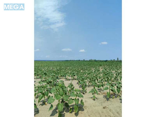 Продажа участка, 1&nbsp;689,42&nbsp;соток, земля сельскохозяйственного назначения, <a class="location-link" href="/ozera-selo-kv/" title="Недвижимость Озера">Озера</a>, Нова (изображение 14)