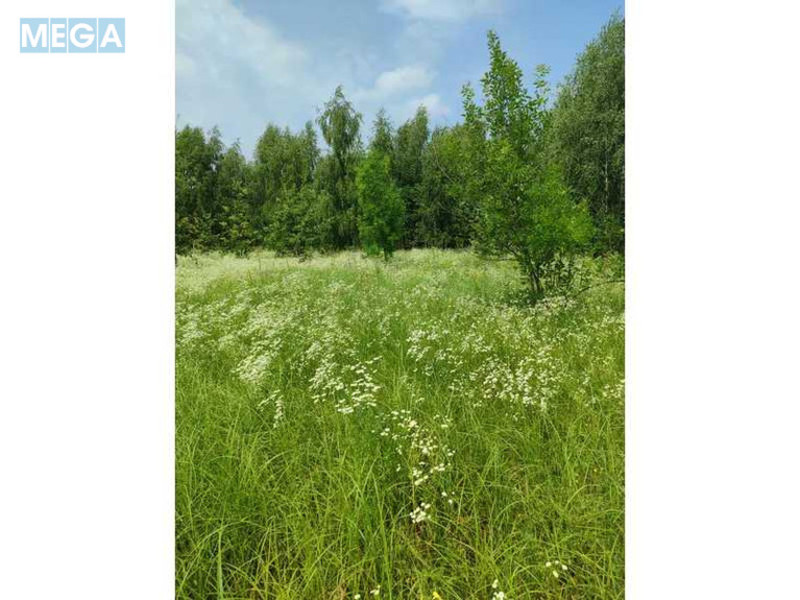 Продажа участка, 1&nbsp;689,42&nbsp;соток, земля сельскохозяйственного назначения, <a class="location-link" href="/ozera-selo-kv/" title="Недвижимость Озера">Озера</a>, Нова (изображение 18)