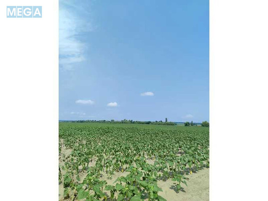 Продажа участка, 1&nbsp;689,42&nbsp;соток, земля сельскохозяйственного назначения, <a class="location-link" href="/ozera-selo-kv/" title="Недвижимость Озера">Озера</a>, Нова (изображение 24)