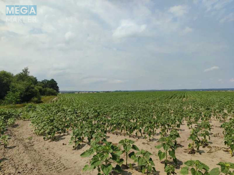 Продажа участка, 1&nbsp;689,42&nbsp;соток, земля сельскохозяйственного назначения, <a class="location-link" href="/ozera-selo-kv/" title="Недвижимость Озера">Озера</a>, Нова (изображение 25)