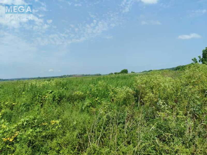 Продажа участка, 2&nbsp;152,23&nbsp;сотки, земля сельскохозяйственного назначения, <a class="location-link" href="/ozera-selo-kv/" title="Недвижимость Озера">Озера</a>, Нова (изображение 8)