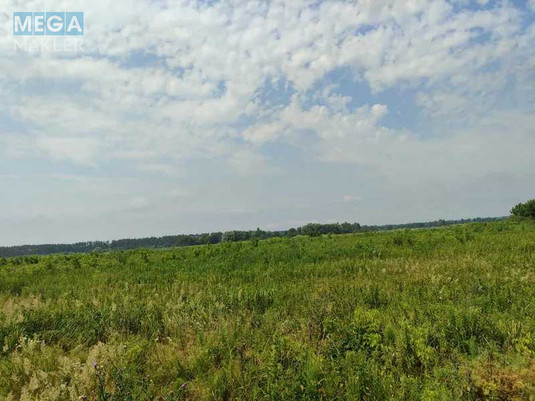 Продажа участка, 2&nbsp;152,23&nbsp;сотки, земля сельскохозяйственного назначения, <a class="location-link" href="/ozera-selo-kv/" title="Недвижимость Озера">Озера</a>, Нова (изображение 10)