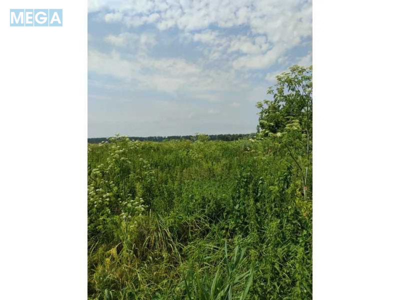 Продажа участка, 2&nbsp;152,23&nbsp;сотки, земля сельскохозяйственного назначения, <a class="location-link" href="/ozera-selo-kv/" title="Недвижимость Озера">Озера</a>, Нова (изображение 11)