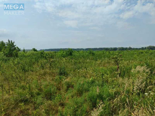 Продажа участка, 2&nbsp;152,23&nbsp;сотки, земля сельскохозяйственного назначения, <a class="location-link" href="/ozera-selo-kv/" title="Недвижимость Озера">Озера</a>, Нова (изображение 14)
