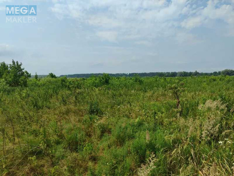 Продажа участка, 2&nbsp;152,23&nbsp;сотки, земля сельскохозяйственного назначения, <a class="location-link" href="/ozera-selo-kv/" title="Недвижимость Озера">Озера</a>, Нова (изображение 14)