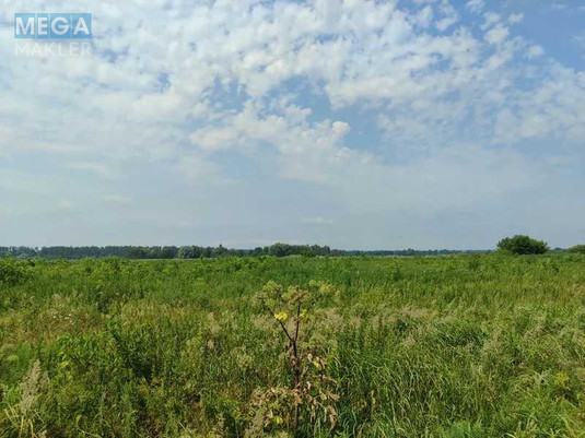 Продажа участка, 2&nbsp;152,23&nbsp;сотки, земля сельскохозяйственного назначения, <a class="location-link" href="/ozera-selo-kv/" title="Недвижимость Озера">Озера</a>, Нова (изображение 24)