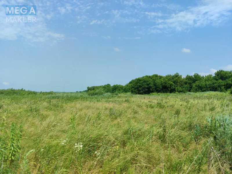 Продажа участка, 2&nbsp;152,23&nbsp;сотки, земля сельскохозяйственного назначения, <a class="location-link" href="/ozera-selo-kv/" title="Недвижимость Озера">Озера</a>, Нова (изображение 25)