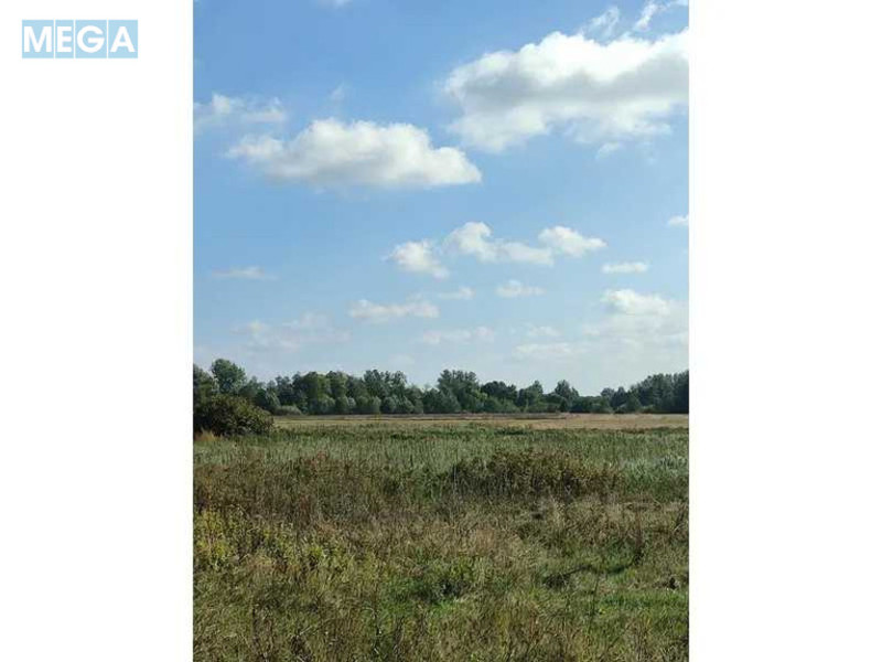 Продажа участка, 100&nbsp;соток, земля сельскохозяйственного назначения, <a class="location-link" href="/pyshiki-selo/" title="Недвижимость Пищики">Пищики</a>, Нова (изображение 4)