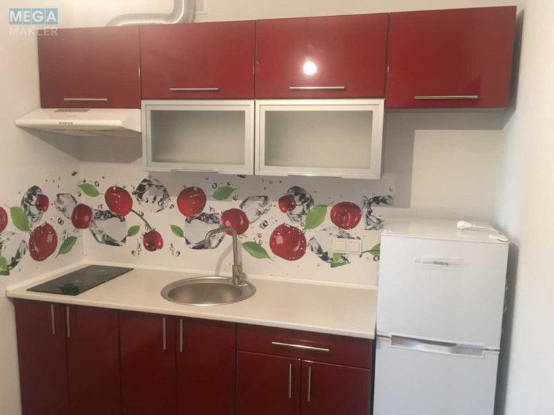 Оренда 1 кімнатної квартири, <a class="location-link" href="/kiev/" title="Недвижимость Київ">Київ</a>, <a class="location-link" href="/kiev/goloseevskij/" title="Недвижимость Голосіївський район">Голосіївський р-н</a>, Маршала Конєва вул., 5д (изображение 5)