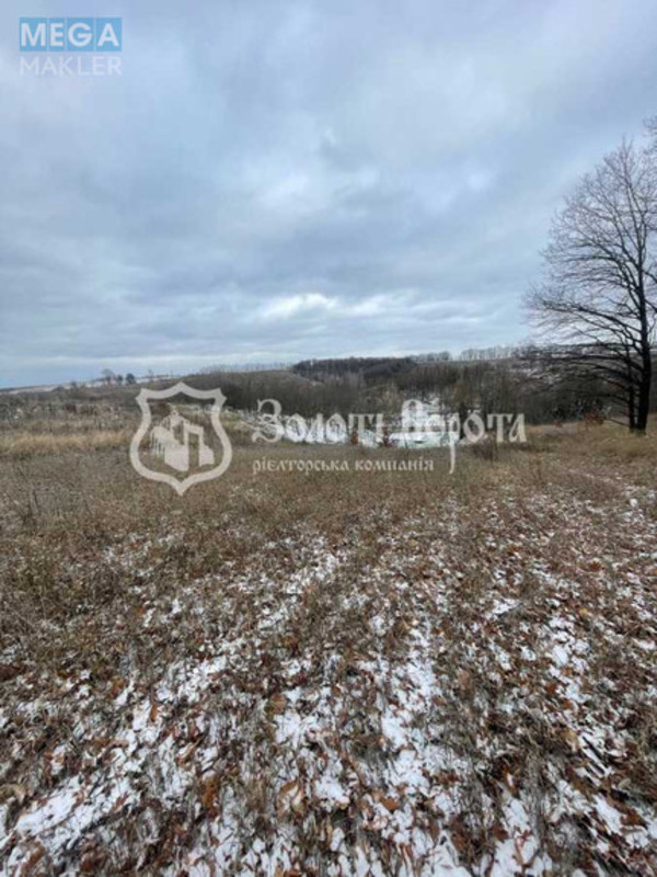 Продажа участка, 80&nbsp;соток, участок под жилую застройку, <a class="location-link" href="/derevyanaya/" title="Недвижимость Дерев'яна">Дерев`яна</a>, Глинищанська вул. (изображение 6)