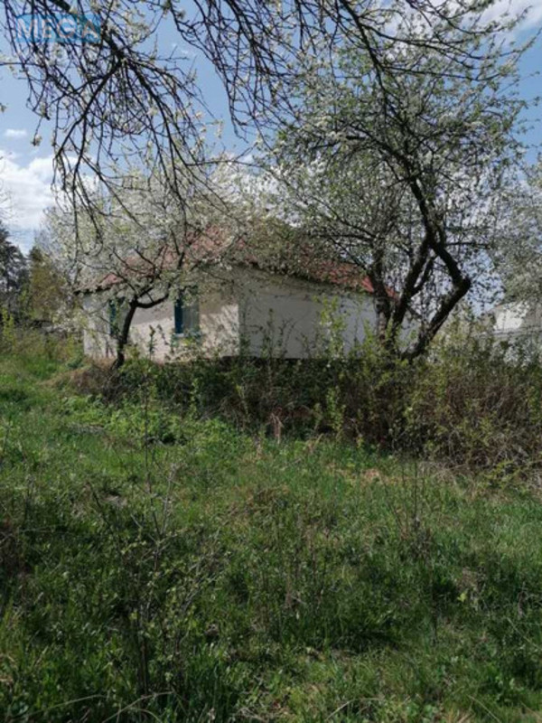 Продаж дома, 1&nbsp; поверх, 52&nbsp;кв.м, 2&nbsp;кімнати, ділянка 30&nbsp;соток, <a class="location-link" href="/chernin-selo/" title="Недвижимость Чернін">Чернин</a>, Попівка (изображение 2)