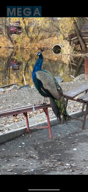 Продаж комплексу будівель та споруд, до&nbsp;5&nbsp;000&nbsp;кв.м, свіжий ремонт, <a class="location-link" href="/dnepropetrovsk/" title="Недвижимость Дніпра">Дніпро</a>, <a class="location-link" href="/dnepropetrovsk/leninskij/" title="Недвижимость Ленінський район">Ленінський р-н</a>, Набережная Заводская (изображение 8)