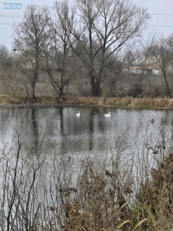 Продаж дома, 1&nbsp; поверх, 49&nbsp;кв.м, 3&nbsp;кімнати, ділянка 56&nbsp;соток, <a class="location-link" href="/samgorodok-selo/" title="Недвижимость Самгородок">Самгородок</a>, Шкільна (изображение 4)