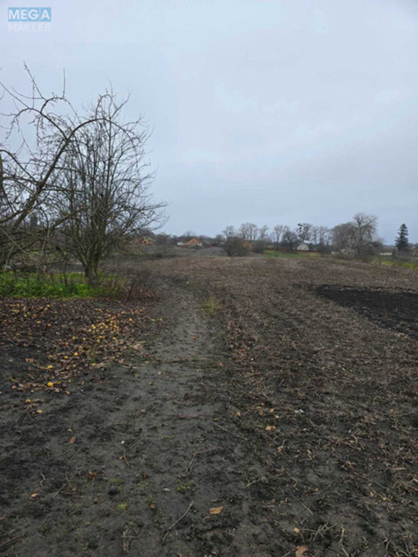 Продаж дома, 1&nbsp; поверх, 49&nbsp;кв.м, 3&nbsp;кімнати, ділянка 56&nbsp;соток, <a class="location-link" href="/samgorodok-selo/" title="Недвижимость Самгородок">Самгородок</a>, Шкільна (изображение 5)