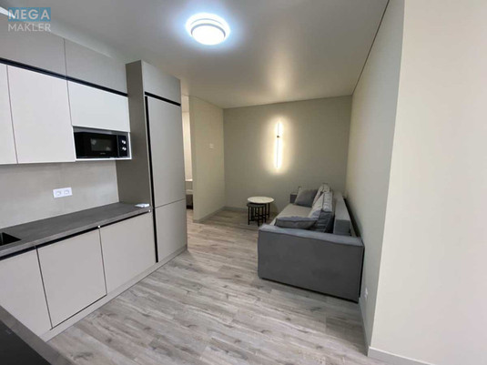 Оренда 1 кімнатної квартири, <a class="location-link" href="/kiev/" title="Недвижимость Київ">Київ</a>, <a class="location-link" href="/kiev/podolskij/" title="Недвижимость Подільський район">Подільський р-н</a>, Івана Виговського вул., 44 (изображение 8)