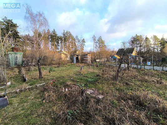 Продаж дома, 1&nbsp; поверх, 45&nbsp;кв.м, 2&nbsp;кімнати, ділянка 10&nbsp;соток, <a class="location-link" href="/nikolaevka-selo-kv-makarovskij-rajon/" title="Недвижимость Миколаївка">Миколаївка</a>, зоряна (изображение 12)