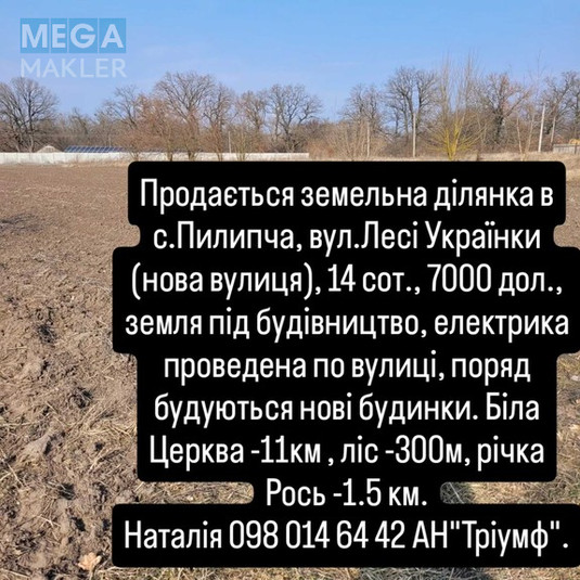 Продажа участка, 14&nbsp;соток, форма прямоугольная, 22x74&nbsp;м, для будівництва, <a class="location-link" href="/filipcha-selo/" title="Недвижимость Пилипча">Пилипча</a>, Лесі Українки (изображение 3)