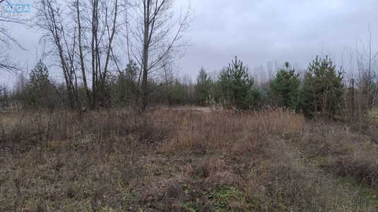 Продажа участка, 25&nbsp;соток, участок под жилую застройку, <a class="location-link" href="/plyuty/" title="Недвижимость Плюті">Плюти</a>, Будівельників (изображение 3)