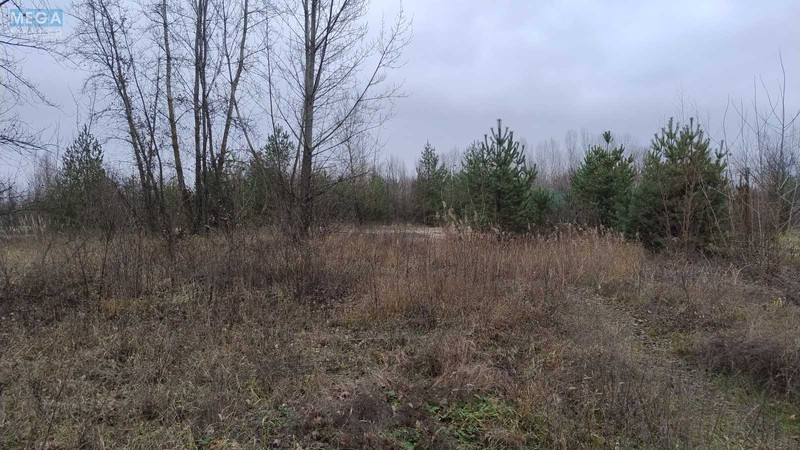 Продажа участка, 25&nbsp;соток, участок под жилую застройку, <a class="location-link" href="/plyuty/" title="Недвижимость Плюті">Плюти</a>, Будівельників (изображение 3)