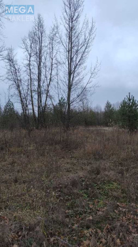 Продажа участка, 25&nbsp;соток, участок под жилую застройку, <a class="location-link" href="/plyuty/" title="Недвижимость Плюті">Плюти</a>, Будівельників (изображение 4)