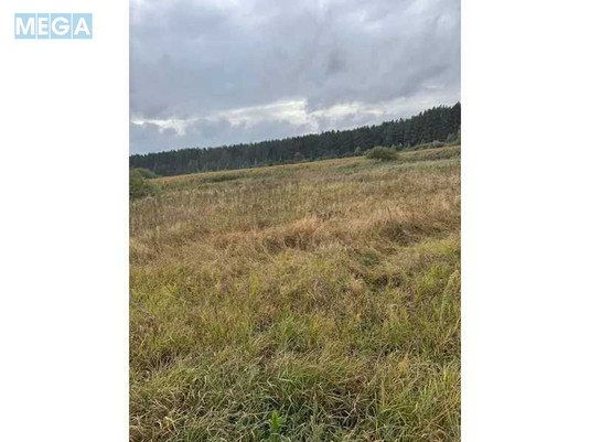 Продажа участка, 167,12&nbsp;соток, земля сельскохозяйственного назначения, <a class="location-link" href="/litvinovka-selo-kv/" title="Недвижимость Литвинівка">Литвинівка</a>, Нова (изображение 6)