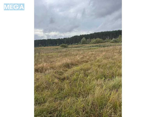 Продажа участка, 167,12&nbsp;соток, земля сельскохозяйственного назначения, <a class="location-link" href="/litvinovka-selo-kv/" title="Недвижимость Литвинівка">Литвинівка</a>, Нова (изображение 9)