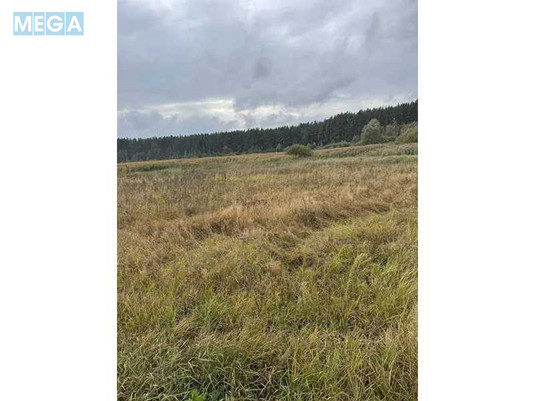 Продажа участка, 167,12&nbsp;соток, земля сельскохозяйственного назначения, <a class="location-link" href="/litvinovka-selo-kv/" title="Недвижимость Литвинівка">Литвинівка</a>, Нова (изображение 10)