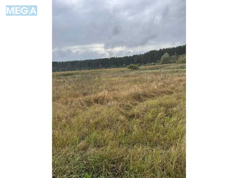 Продажа участка, 167,12&nbsp;соток, земля сельскохозяйственного назначения, <a class="location-link" href="/litvinovka-selo-kv/" title="Недвижимость Литвинівка">Литвинівка</a>, Нова (изображение 10)