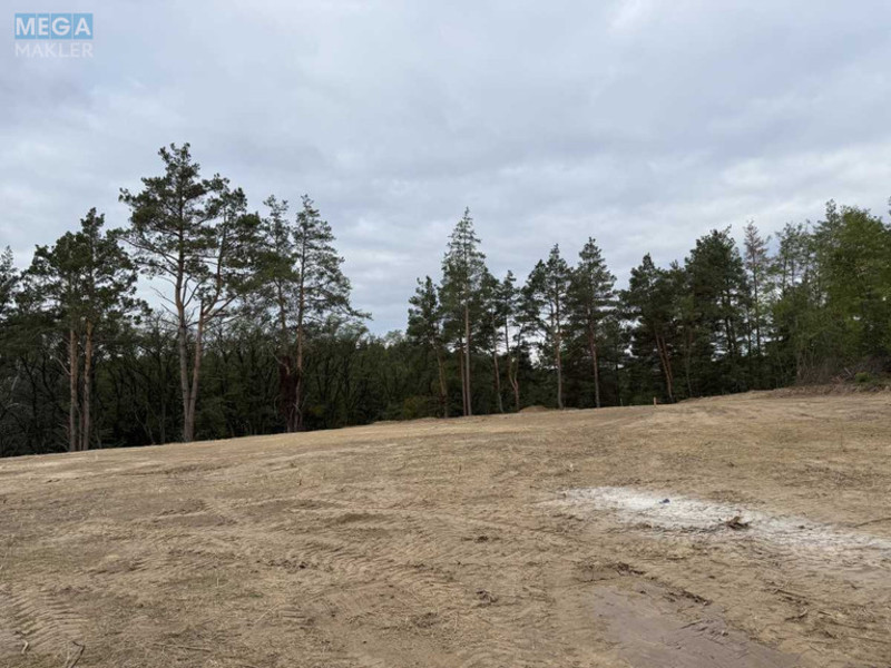 Продаж дома, 1&nbsp; поверх, 159&nbsp;кв.м, 3&nbsp;кімнати, ділянка 8&nbsp;соток, <a class="location-link" href="/gorenichi/" title="Недвижимость Гореничі">Гореничі</a>, Підгірна, 32 (изображение 5)