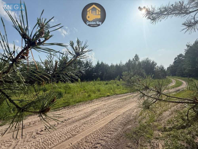 Продажа участка, 2,84&nbsp;сотки, земля сельскохозяйственного назначения, <a class="location-link" href="/gnedin/" title="Недвижимость Гнідін">Гнідин</a>, автошлях 1016 (изображение 4)