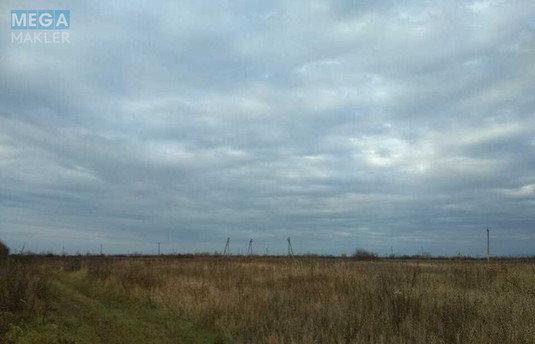 Продажа участка, 99,97&nbsp;соток, участок под жилую застройку, <a class="location-link" href="/pavshino/" title="Недвижимость Павшино">Павшино</a>, урочище Біля Водокачки (изображение 4)