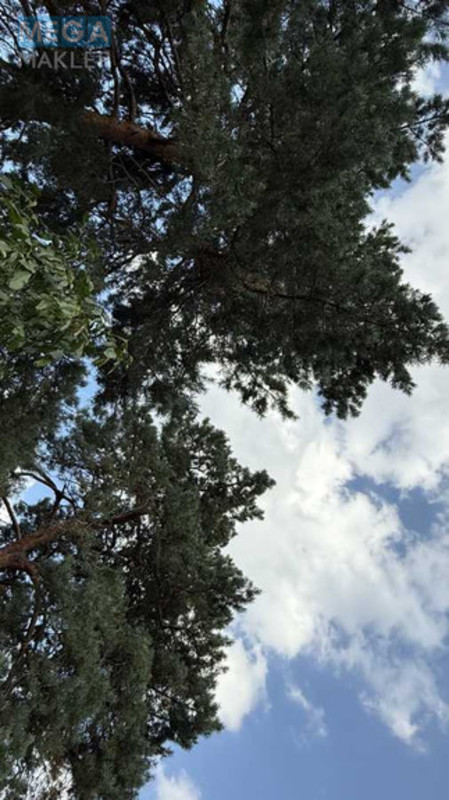 Продажа участка, 20&nbsp;соток, участок под жилую застройку, <a class="location-link" href="/plyuty/" title="Недвижимость Плюті">Плюти</a>, Малышка (изображение 3)