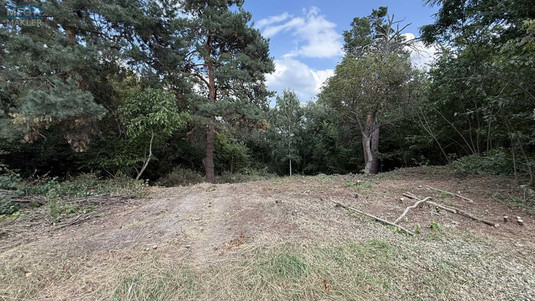 Продажа участка, 20&nbsp;соток, участок под жилую застройку, <a class="location-link" href="/plyuty/" title="Недвижимость Плюті">Плюти</a>, Малышка (изображение 5)