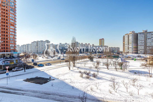 Продаж 2 кімнатної квартири (51,3/30,6/8), 3 пов. 10 пов. будинку, <a class="location-link" href="/kiev/" title="Недвижимость Київ">Київ</a>, <a class="location-link" href="/kiev/desnyanskij/" title="Недвижимость Деснянський район">Деснянський р-н</a>, Марини Цвєтаєвої вул., 16 (изображение 24)