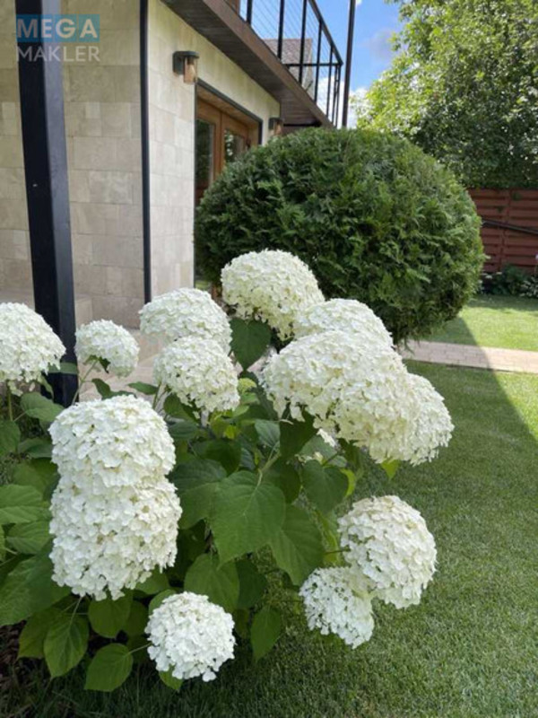 Оренда дома, <a class="location-link" href="/hlepcha/" title="Недвижимость Хлепча">Хлепча</a>, Лісова Поляна, 8 (изображение 16)