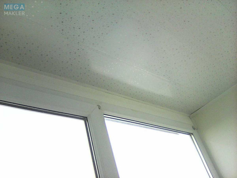 Продаж 2 кімнатної квартири (51/28,2/7,8), 9 пов. 10 пов. будинку, <a class="location-link" href="/budki-selo-ck/" title="Недвижимость Будки">Будки</a>, Трипільська, 7 (изображение 17)