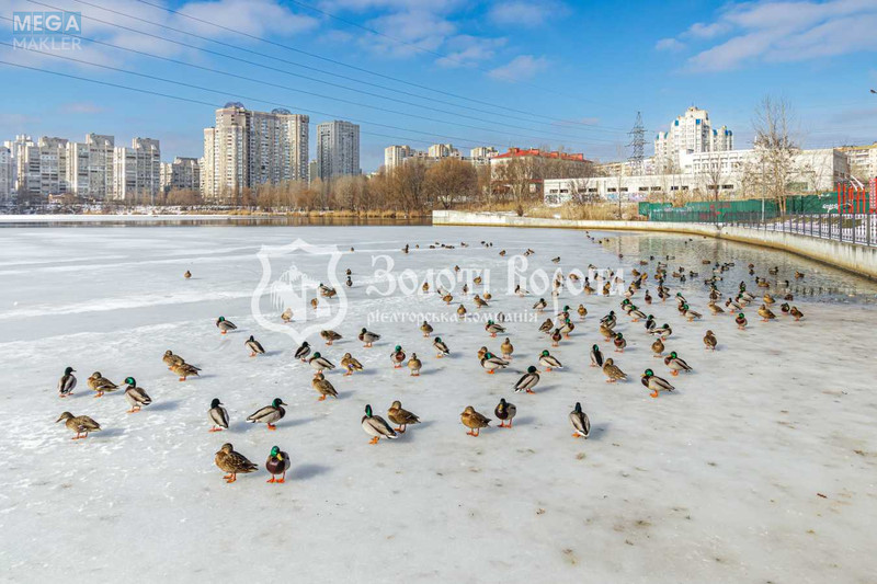 Продаж 3 кімнатної квартири (97/49/18), 12 пов. 25 пов. будинку, <a class="location-link" href="/kiev/" title="Недвижимость Київ">Київ</a>, <a class="location-link" href="/kiev/darnickij/" title="Недвижимость Дарницький район">Дарницький р-н</a>, Ревуцького вул., 40в (изображение 23)