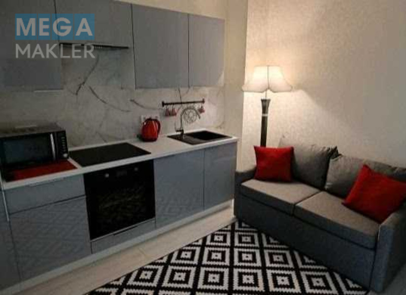 Оренда 1 кімнатної квартири, <a class="location-link" href="/odessa/" title="Недвижимость Одеса">Одеса</a>, <a class="location-link" href="/odessa/primorskij/" title="Недвижимость Приморський район">Приморський р-н</a>, Софиевская, 1 (изображение 6)