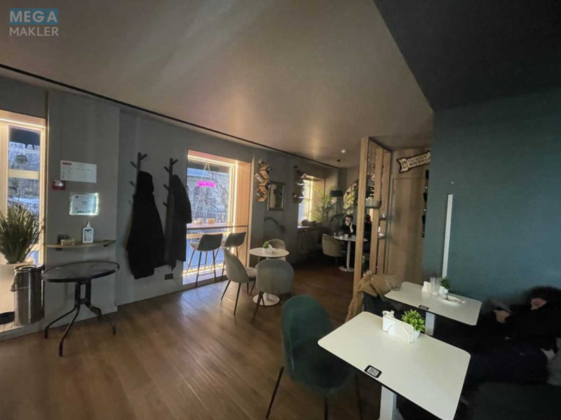 Оренда комерційної нерухомості, 50&nbsp;кв.м, <a class="location-link" href="/kiev/" title="Недвижимость Київ">Київ</a>, <a class="location-link" href="/kiev/pecherskij/" title="Недвижимость Печерський район">Печерський р-н</a>, Шовковична вул., 48 (изображение 3)