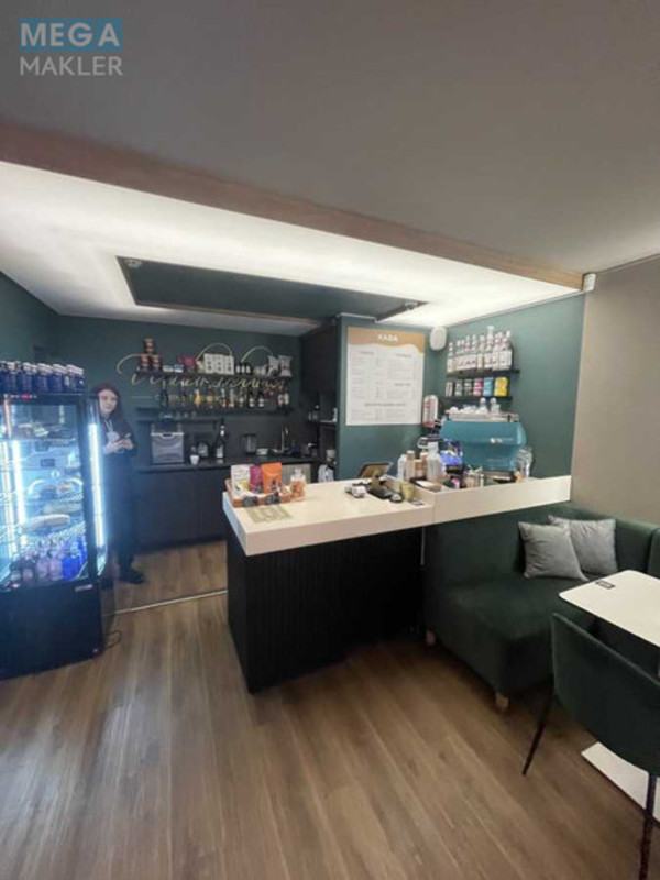 Оренда комерційної нерухомості, 50&nbsp;кв.м, <a class="location-link" href="/kiev/" title="Недвижимость Київ">Київ</a>, <a class="location-link" href="/kiev/pecherskij/" title="Недвижимость Печерський район">Печерський р-н</a>, Шовковична вул., 48 (изображение 5)